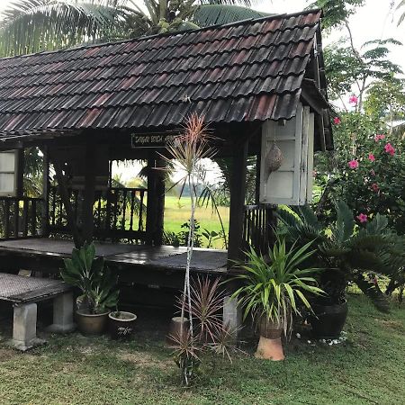 Seri Pengkalan Homestay Bachok Exterior foto