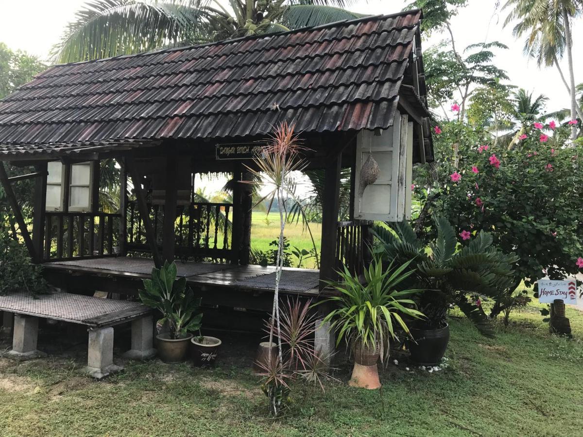 Seri Pengkalan Homestay Bachok Exterior foto