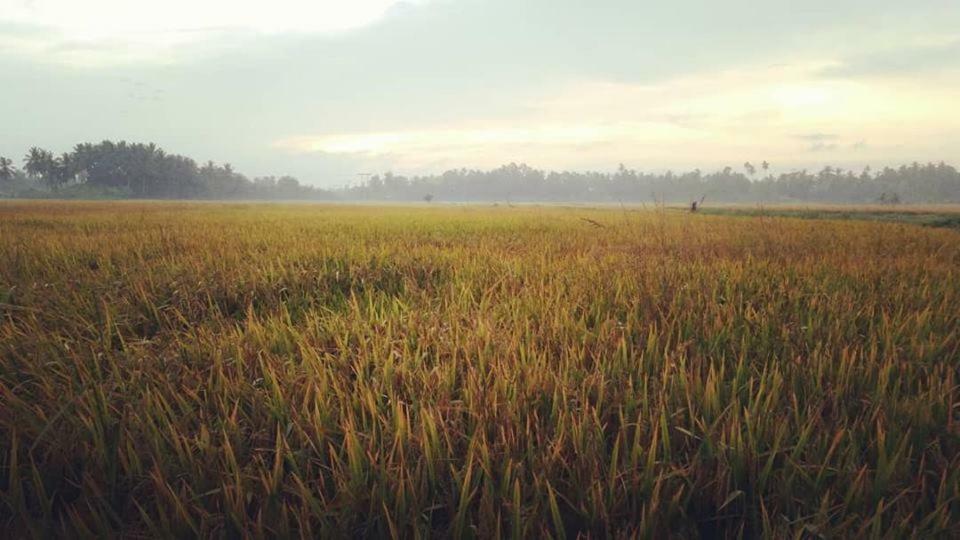 Seri Pengkalan Homestay Bachok Exterior foto
