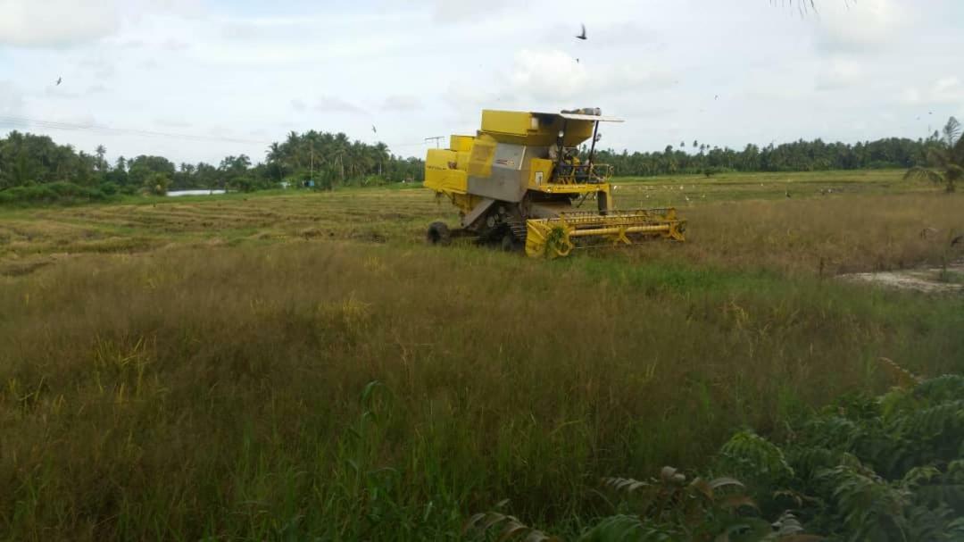Seri Pengkalan Homestay Bachok Exterior foto